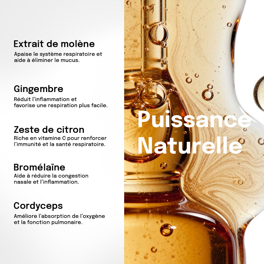Pulmon Molène Gouttes