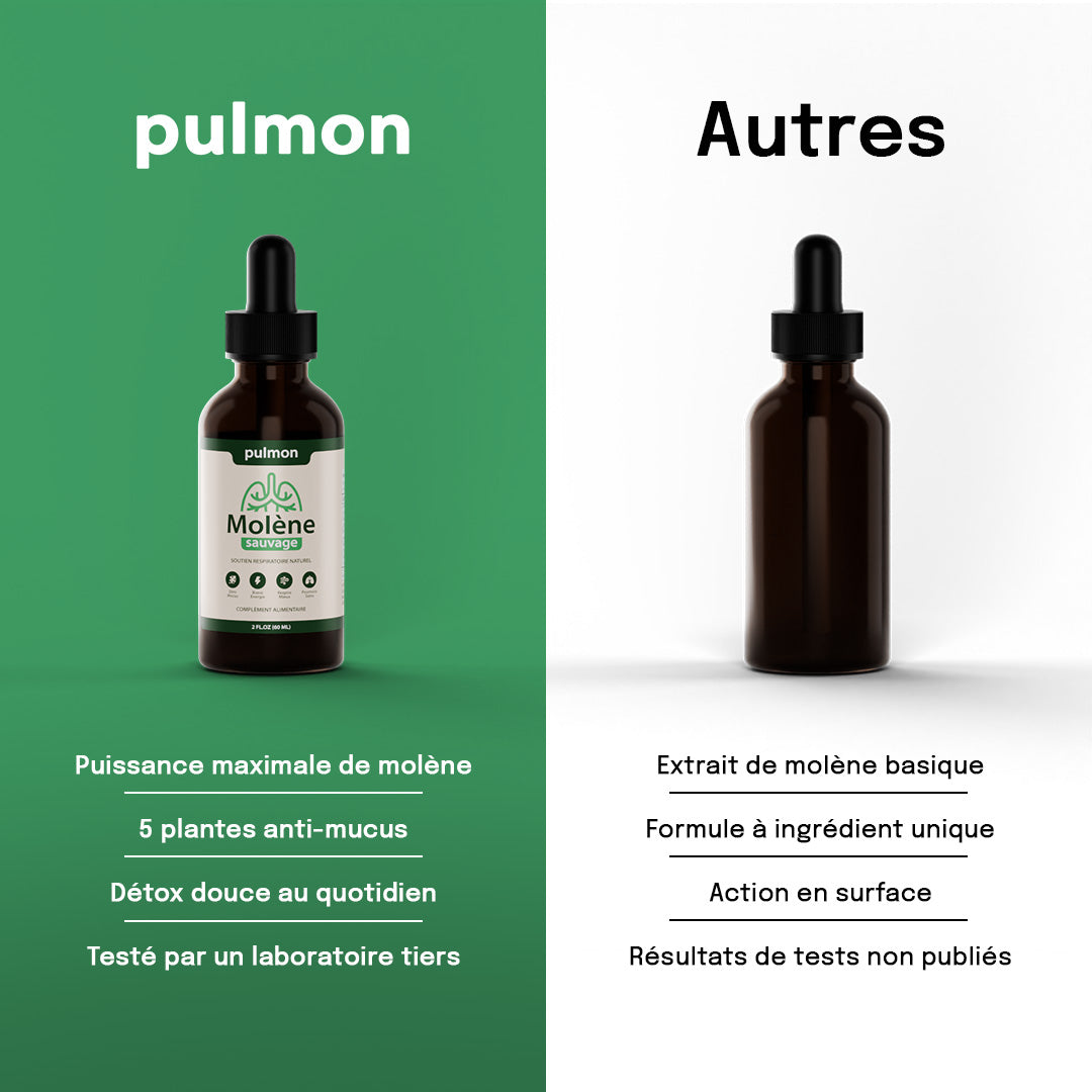 Pulmon Molène Gouttes