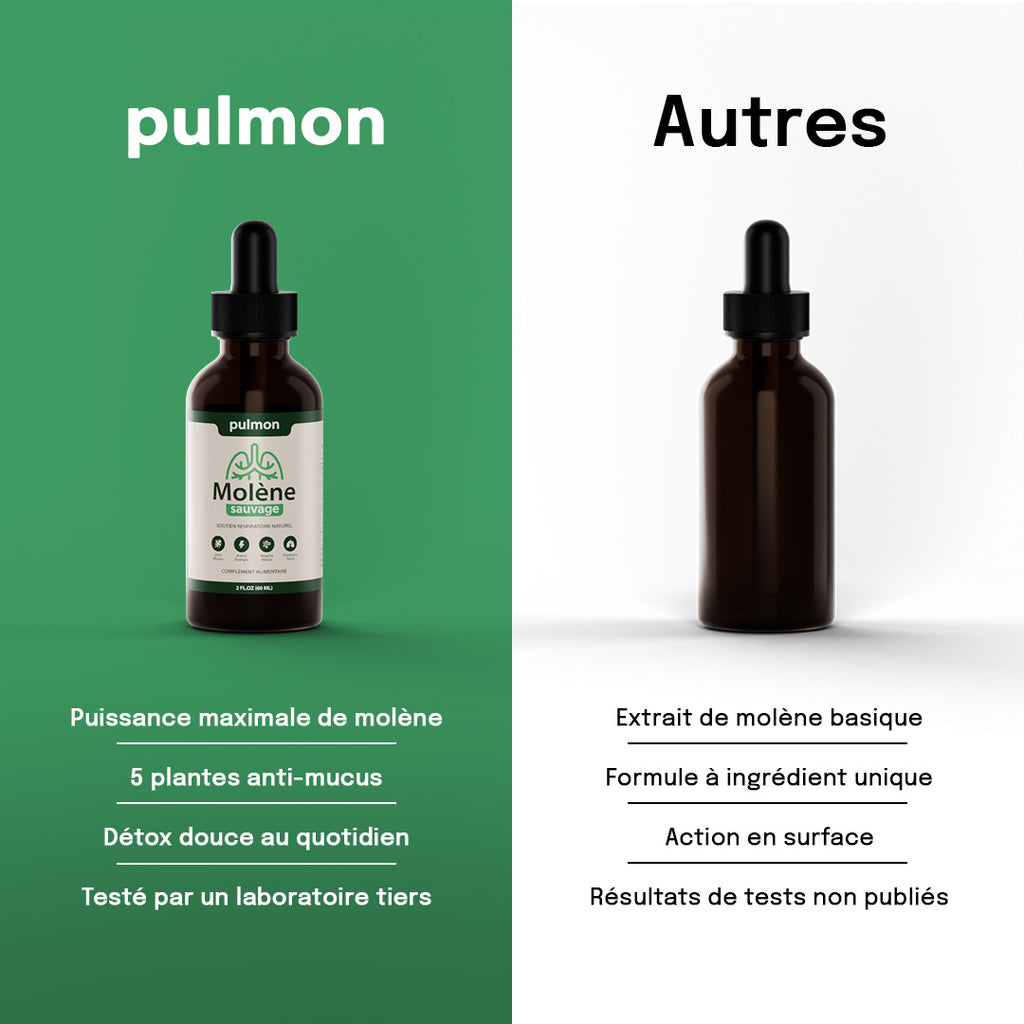 Pulmon Molène Gouttes